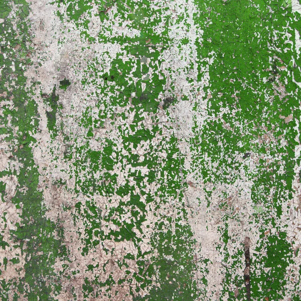 Макроизолированный Фрагмент Старой Ветхой Стены Окрашенный Зелено Белый Цвет — стоковое фото