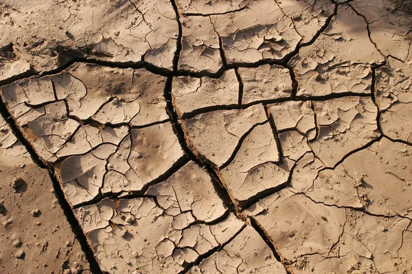 Macro Textuur Van Gebarsten Aarde Rechtenvrije Stockafbeeldingen