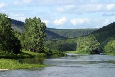 Yaz manzarası Beyaz Nehir Güney Ural
