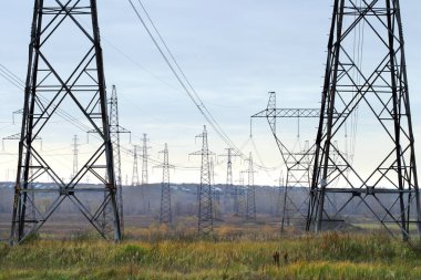 Ormanın yakınındaki bir tarlada elektrik hattı var.
