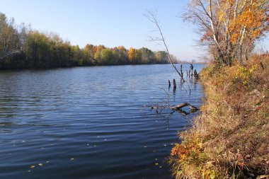 Güneşli bir günde nehrin ve ağaçların sonbahar manzarası