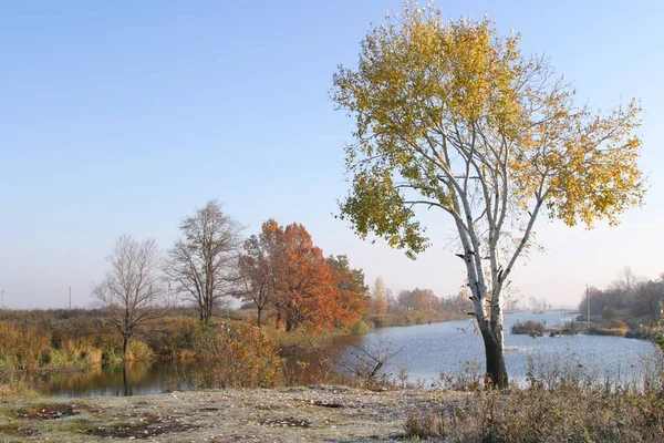 Güneşli Bir Günde Nehrin Ağaçların Sonbahar Manzarası — Stok fotoğraf