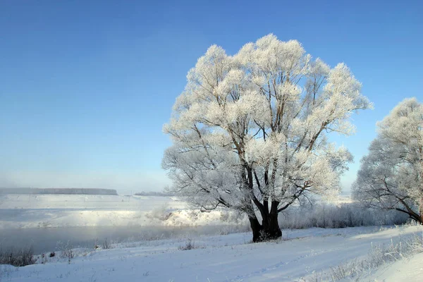 Paysage Matin Hiver Sur Rivière Zai — Photo