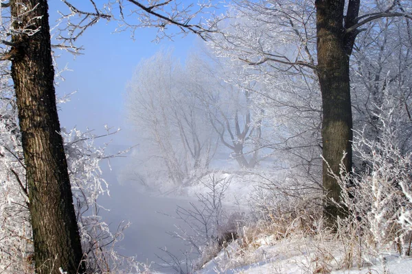Landskap Vinter Morgon Floden Zai — Stockfoto