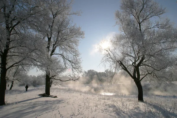 Paesaggio Invernale Gelido Giorno Sul Fiume Zai — Foto Stock