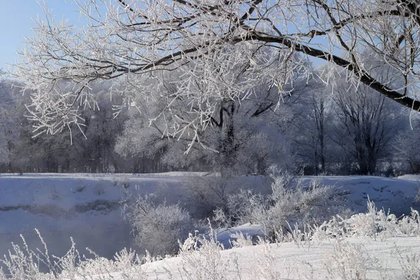 Zimní Krajina Mrazivý Den Řece Zai — Stock fotografie