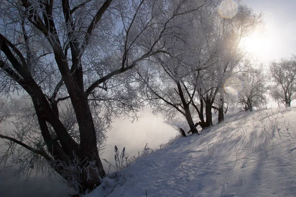 Χειμερινό Τοπίο Ομιχλώδες Πρωινό Στον Ποταμό Zai — Φωτογραφία Αρχείου