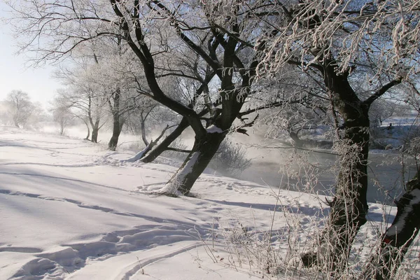 Paesaggio Invernale Mattina Nebbiosa Sul Fiume Zai — Foto Stock