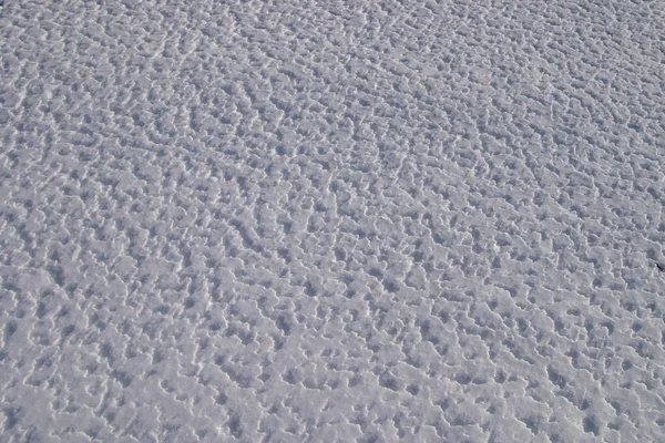 雪的宏观纹理 — 图库照片