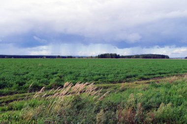 yaz manzara fırtına bulutları, yağmur alan