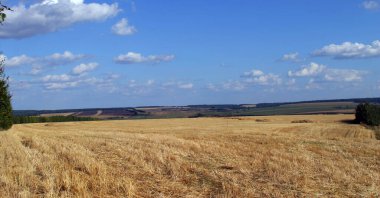 Yaz manzara güzel bulutlu gökyüzü üzerinde alanları ve çayırlar, Rusya Federasyonu
