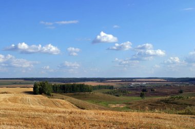 Yaz manzara güzel bulutlu gökyüzü üzerinde alanları ve çayırlar, Rusya Federasyonu