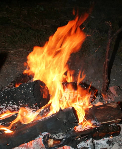 Close Bonfire Night — Stock Photo, Image