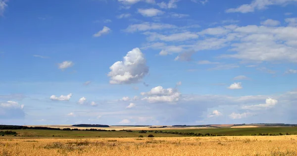 Yaz Manzara Güzel Bulutlu Gökyüzü Üzerinde Alanları Çayırlar Rusya Federasyonu — Stok fotoğraf