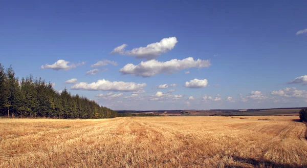 Paisaje Verano Hermoso Cielo Nublado Sobre Campos Prados Rusia — Foto de Stock