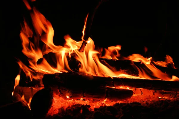 매머드 모닥불 — 스톡 사진