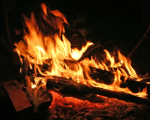 매머드 모닥불 — 스톡 사진