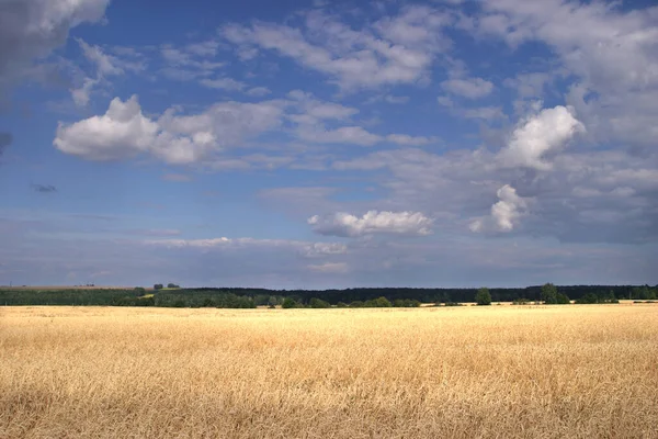 Sommerlandschaft Schöner Bewölkter Himmel Über Feldern Und Wiesen Russland — Stockfoto