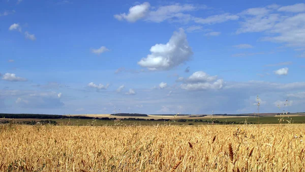 Paisaje Verano Hermoso Cielo Nublado Sobre Campos Prados Rusia — Foto de Stock