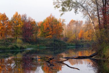 sonbahar yatay, bir nehir ve orman
