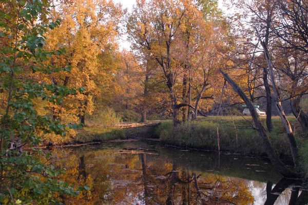 Paesaggio Autunnale Con Fiume Una Foresta — Foto Stock