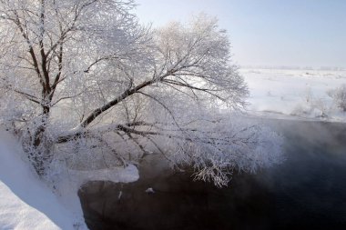 Kış, sisli bir sabahta nehir boyunca yürür