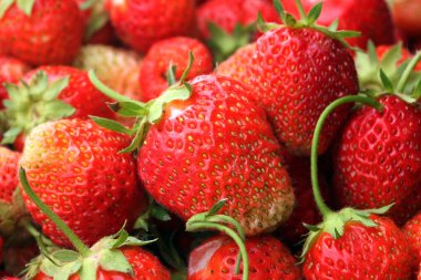 Güneş ışığında toplanan bir sürü çileğin yakın plan görüntüsü.