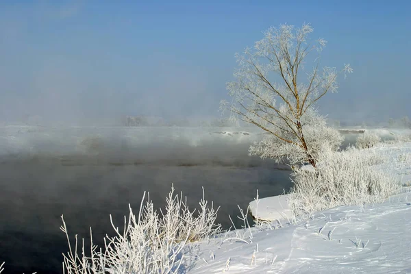 Winter Walk River Misty Morning — Stock Photo, Image