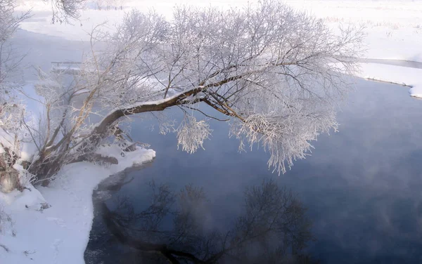 Зимняя Прогулка Реке Туманным Утром — стоковое фото