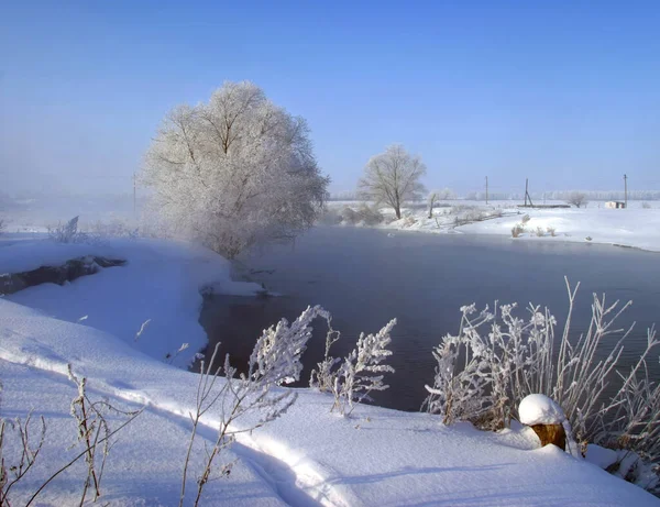 Promenade Hivernale Long Rivière Par Une Matinée Brumeuse — Photo