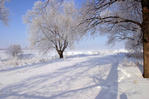 Beaux Paysages Hiver Par Temps Clair — Photo