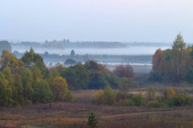 gün batımında forest yakınındaki bir alanın üzerinde sonbahar manzara sis