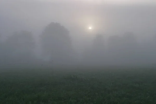 Landschaft Aus Dichtem Nebel Auf Dem Feld Bei Sonnenaufgang Spätsommer — Stockfoto