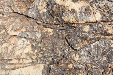 Güneş ışığında izole edilmiş makro doku kıyı kayalıkları