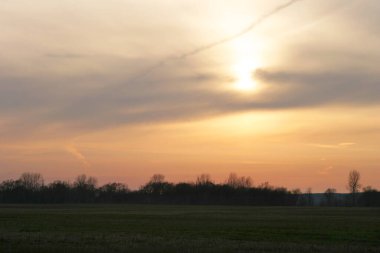bahar Nehri ormandaki güzel manzara günbatımı