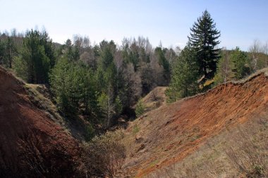 Ormanın vadiden güzel manzarası