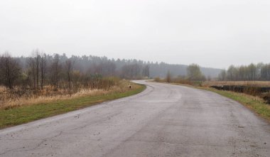 Puslu bir sabahta, ormanın yakınındaki bahar manzarası yolu.