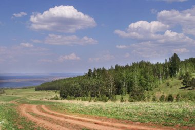 Yazın çayırların ve ormanların arasından nehre giden kır yolu.