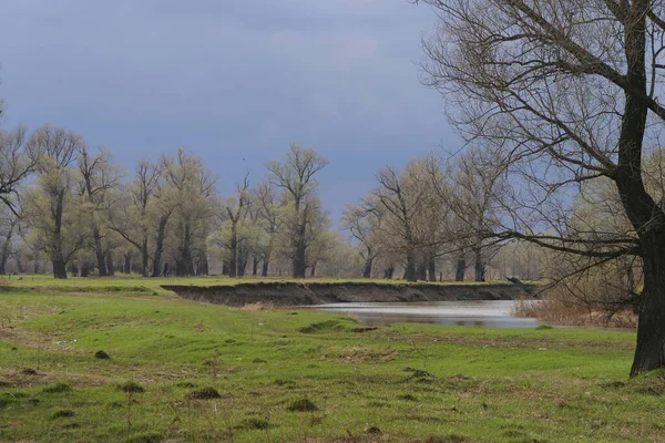 Paysage Rivière Toima Chênaie Début Printemps Par Une Journée Ensoleillée — Photo