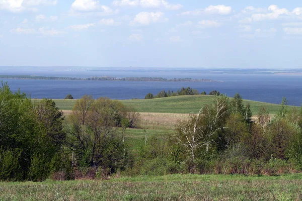 Summer Landscape Green Fields Trees Blue Cloudy Sky River Horizon — Stock Photo, Image