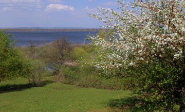 Yazın yeşil alanlar ve ağaçlar mavi bulutlu gökyüzüne ve ufuktaki nehre karşı.