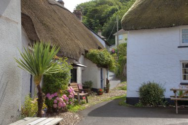 Seaside cottages, Devon
