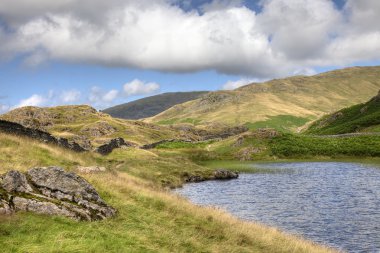 Alcock Tarn, Istanbul