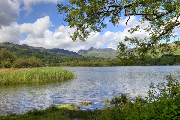 Elterwater, Cumbria — Stock Photo, Image