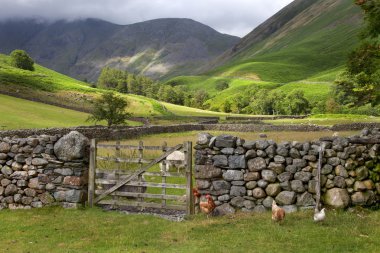 Wasdale kafa, cumbria