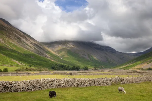 Wasdale head, die Seenplatte — Stockfoto