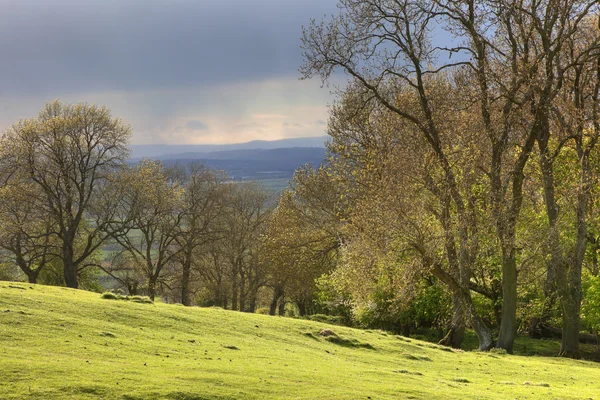 Regenwolken, England — Stockfoto