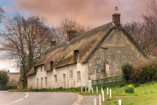 Thatched yazlık, dorset — Stok fotoğraf