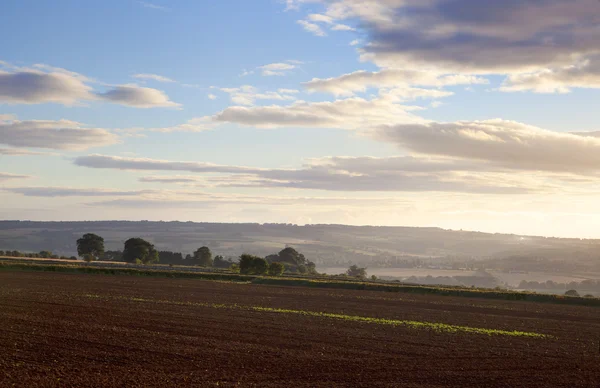 Ploughed field, Cotswolds — Stock Photo, Image