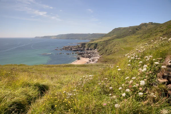 Devon Küste im Sommer — Stockfoto